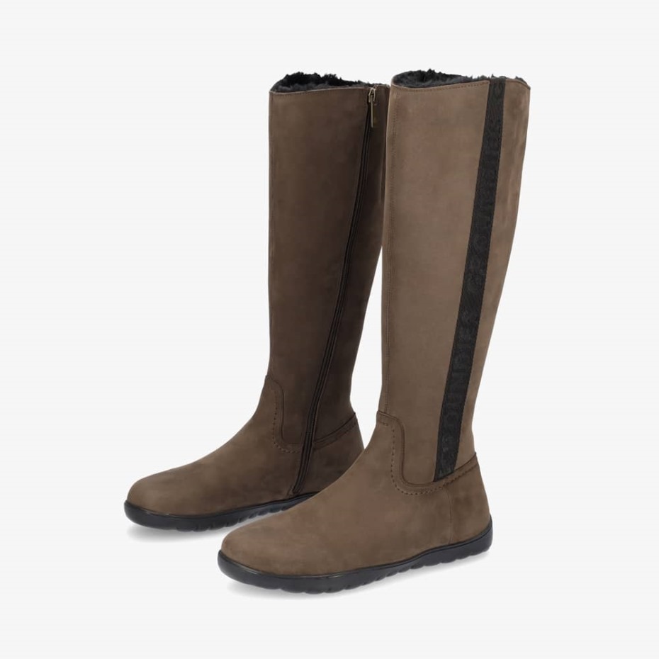 Groundies España Marrón Derby Mujer